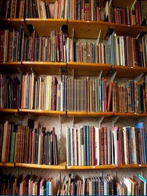 Library kannada novels in english